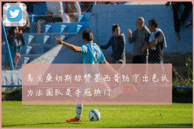 乌戈桑切斯称赞墨西哥防守出色认为法国队是夺冠热门