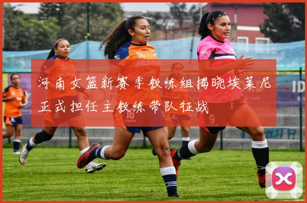 河南女篮新赛季教练组揭晓埃莱尼正式担任主教练带队征战